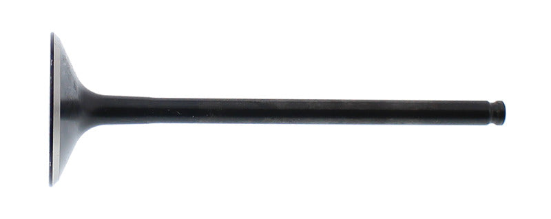 Photo - Primary