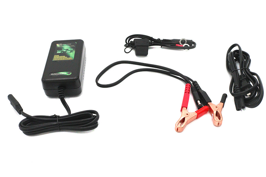 2A Skyrich Automatic Intelligent Battery Charger