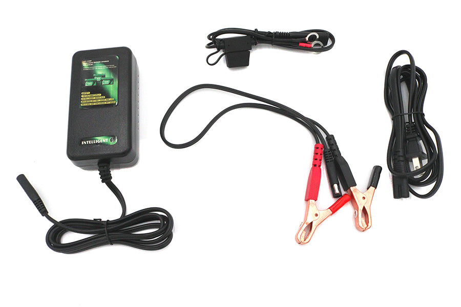 2A Skyrich Automatic Intelligent Battery Charger
