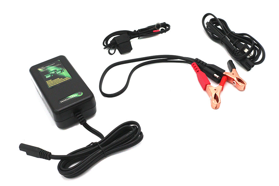 2A Skyrich Automatic Intelligent Battery Charger