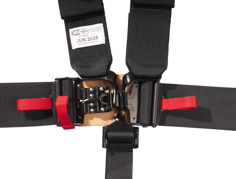 Photo - Close Up