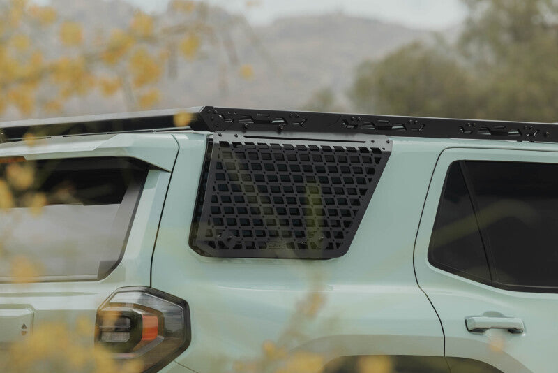 Photo - Close Up