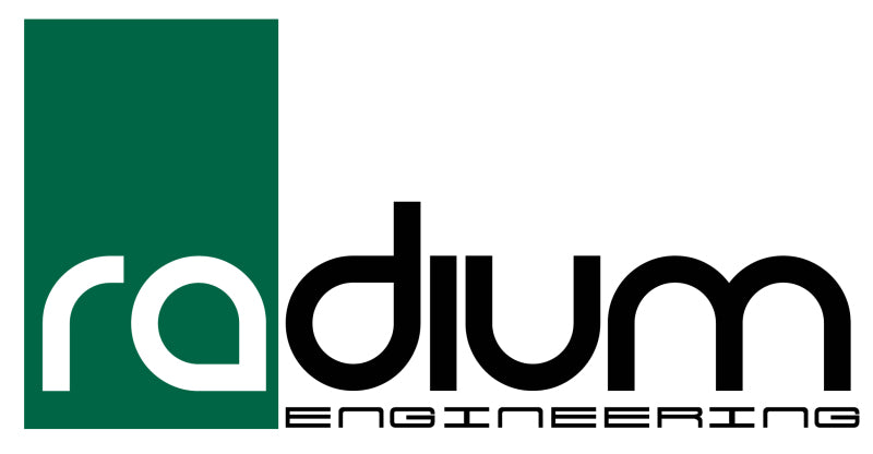 Radium Engineering Kraftstofffilter-Kit mit 100 Mikron Edelstahlfilter