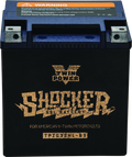 Twin Power YTX-32HL Shocker Gel Battery Replaces H-D 66010-97A