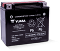 Yuasa YTX20L-BS Maintenance Free AGM 12 Volt Battery (Bottle Supplied)