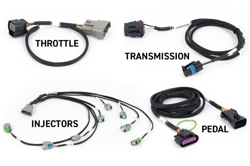 Kit Haltech NEXUS Rebel LS (compatible con Gen IV) Acelerador DBW de 6 pines/Inyectores EV6/Transmisión manual