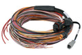 Arnés de cables para vuelo Haltech PD16 de 5 m