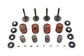 Nitrate Valve And Spring Kit For Harley-Davidson Shovehead 1966-1979