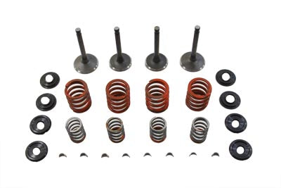 Nitrate Valve And Spring Kit For Harley-Davidson Shovehead 1966-1979