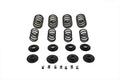 Valve Spring Kit For Harley-Davidson Panhead And Shovelhead