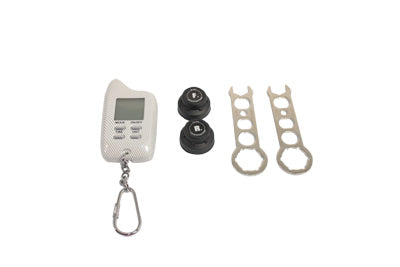 Harley-Davidson 42300150 42300124 Motorcycle Tire Pressure Monitoring System