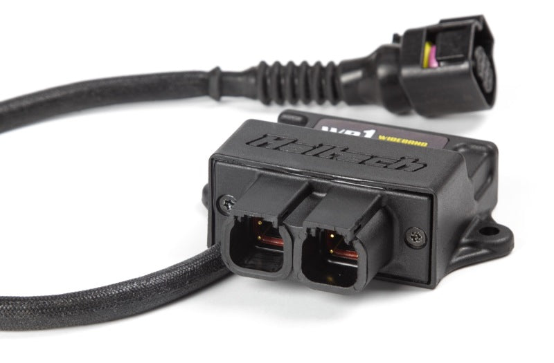 Haltech WB1 Einkanal-CAN-O2-Breitband-Controller-Kit