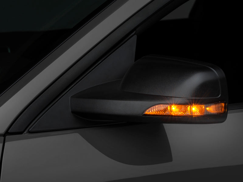 Raxiom 05-09 Ford Mustang Richtungs-Seitenspiegel