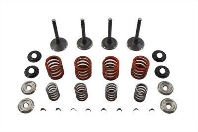 Nitrate Valve and Spring Kit For Harley-Davidson Shovelhead 1980-1981