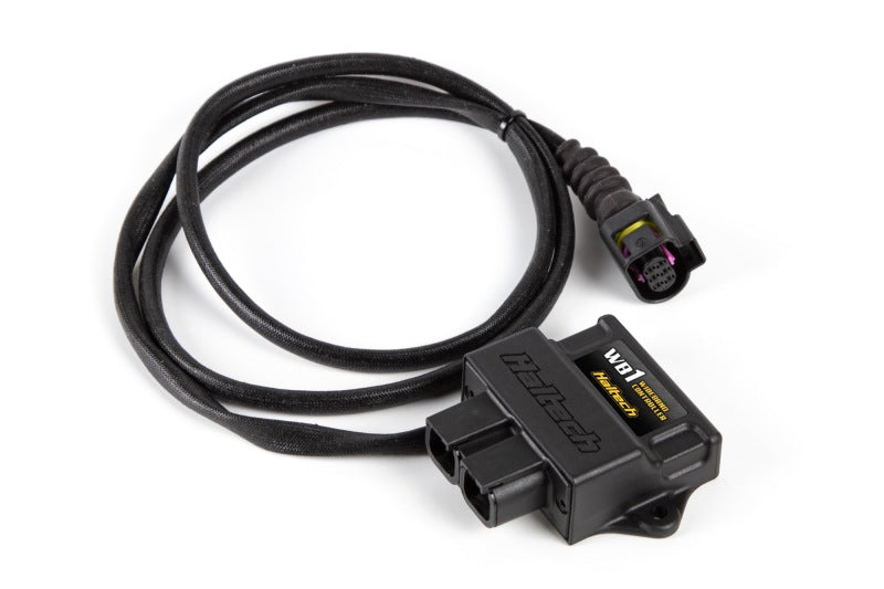 Haltech WB1 Einkanal-CAN-O2-Breitband-Controller-Kit