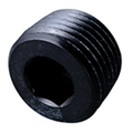 Tapón de tubería Fragola 1/8 NPT - Interno negro