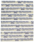 Clevite Plastigage Blaues Plastigage - 12er-Pack