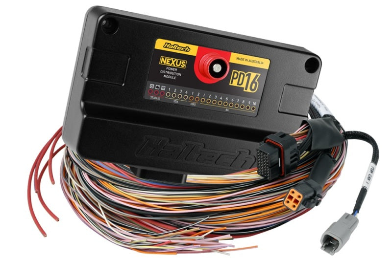 Haltech Nexus PD16 + Kabelbaum mit fliegendem Anschlusskabel (5 m)